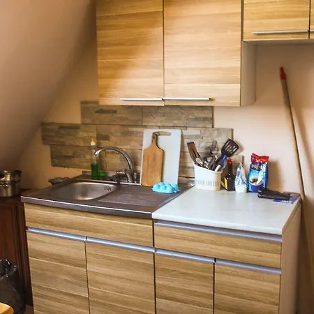 Проживание в семье Goscinne U Basi Вилкасы